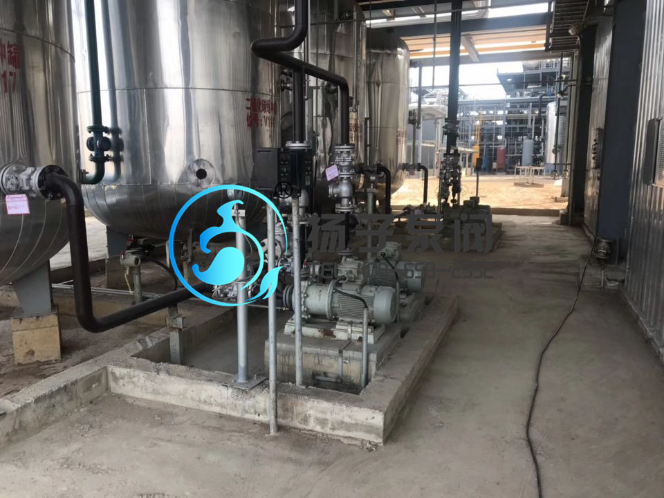 南通印染公司不銹鋼磁力泵現場